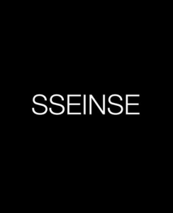 logo sseinse